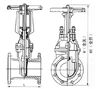 zhafa80001.jpg